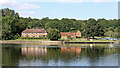 North shore of Trimpley Reservoir, Worcestershire