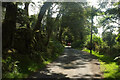 Lane to Widecombe