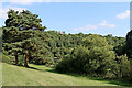 Severn Valley south-east of Trimpley Reservoir