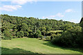 Severn Valley grassland and woodland near Trimpley Reservoir