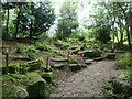 The fernery at the Wolseley Centre