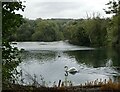 TR0954 : Chartham  fishing lake by pam fray