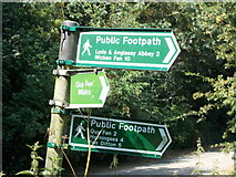 TL5161 : Public footpath signs at the Stone Bridge by Peter S