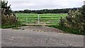 View through field gateway on NE side of rural road SE of Burnrigg