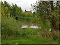 Further overgrown pond and cottage at Crowle Green