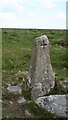 SX6560 : Old Boundary Marker or Wayside Cross between Piles Hill and Ugborough Beacon by A Rosevear