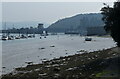 Shoreline along the Conwy River