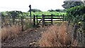 Footpath from Scotby Road reaches junction with Plains Road