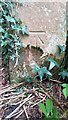 Benchmark on gatepost at gateway on SW side of Plains Road