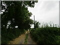 Bridleway to the Oxton bypass