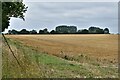 TM0273 : Wattisfield: Harvested field by Michael Garlick