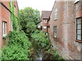 River Allen, Wimborne Minster