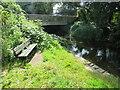 Bench alongside the river, Wimborne