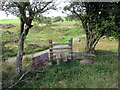 Sticil ger Bryn-tywarch / Stile near Bryn-tywarch