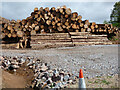NR9381 : Log piles by the B8000 road by Thomas Nugent