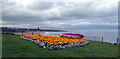 NZ3769 : Flower bed on the cliff above Long Sands, Tynemouth by habiloid