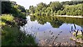 Looking NW along River Eden from its SW bank