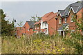 Newly-built housing on the edge of Amesbury