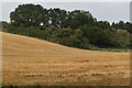 View across field at Stockport