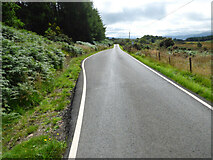 NR9380 : The B8000 road by Thomas Nugent