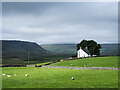 NY8629 : Sunshine on field, Forest-in-Teesdale by Trevor Littlewood
