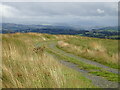 Course of Roman Road, north of Mynydd Argoed