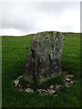 SO0196 : Standing Stone north of Clatter by Andrew Shannon