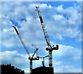 Tower crane twins