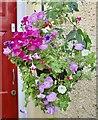 Hanging basket