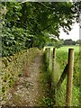 Path above a wooded clough