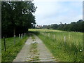 Track looking towards Sharnden