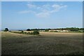 Fields near Home Farm