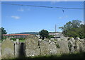 Old tombstones, Chirbury churchyard...