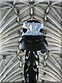 TG2308 : Norwich - Cathedral - The head of "Dippy" by Rob Farrow
