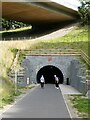 NY2823 : West  portal of the Bobbin Mill Tunnel by Oliver Dixon