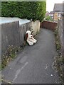 ST3091 : Dumped toy dog, Malpas, Newport by Jaggery