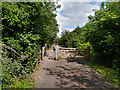 ST4256 : A Frame Barriers on the Strawberry Line NCN26 by Kevin Pearson