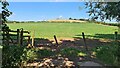 Looking towards Micklebarrow Hill