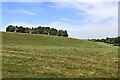 Pasture and trees west of Claverley, Shropshire