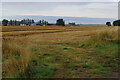 Farmland near Rothills