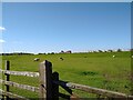 Field off Links Road in Uphill