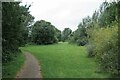 Canalside Open Space in Openshaw