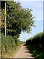 Narrow lane to Claverley in Shropshire