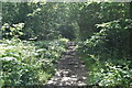 Bridleway, Kiln Wood