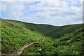SO4294 : Looking down Ashes Hollow valley (the Long Mynd) by Bill Harrison