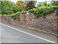 Garden wall, Lady Gillford?s House