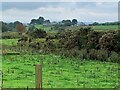 View towards Bryn Farm