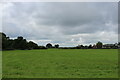 Pasture off Cuerdale Lane