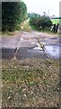 Rails in road at former level crossing of Cocklakes tramway