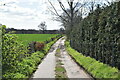 Track through Calehill Park